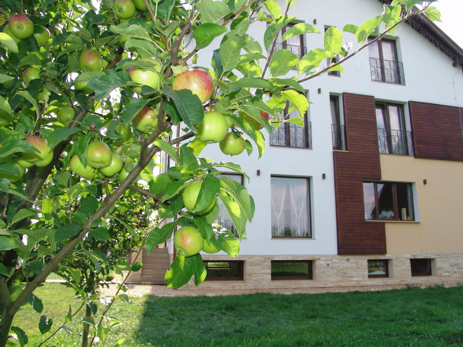 Stupina Hotel Brasov Exterior photo